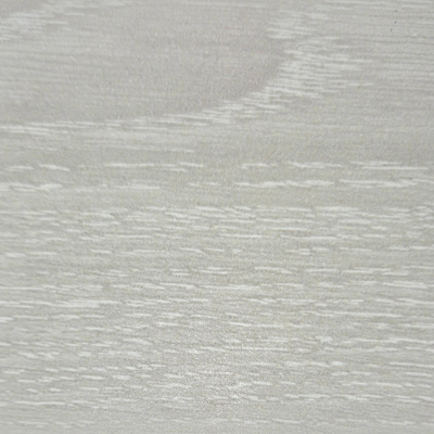 Winter Ash Swatch